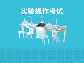 實(shí)驗(yàn)系統(tǒng)