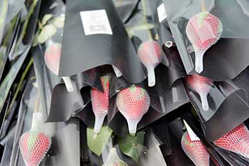 搞事情：全民“禮”遇，德威暖情女神節(jié)